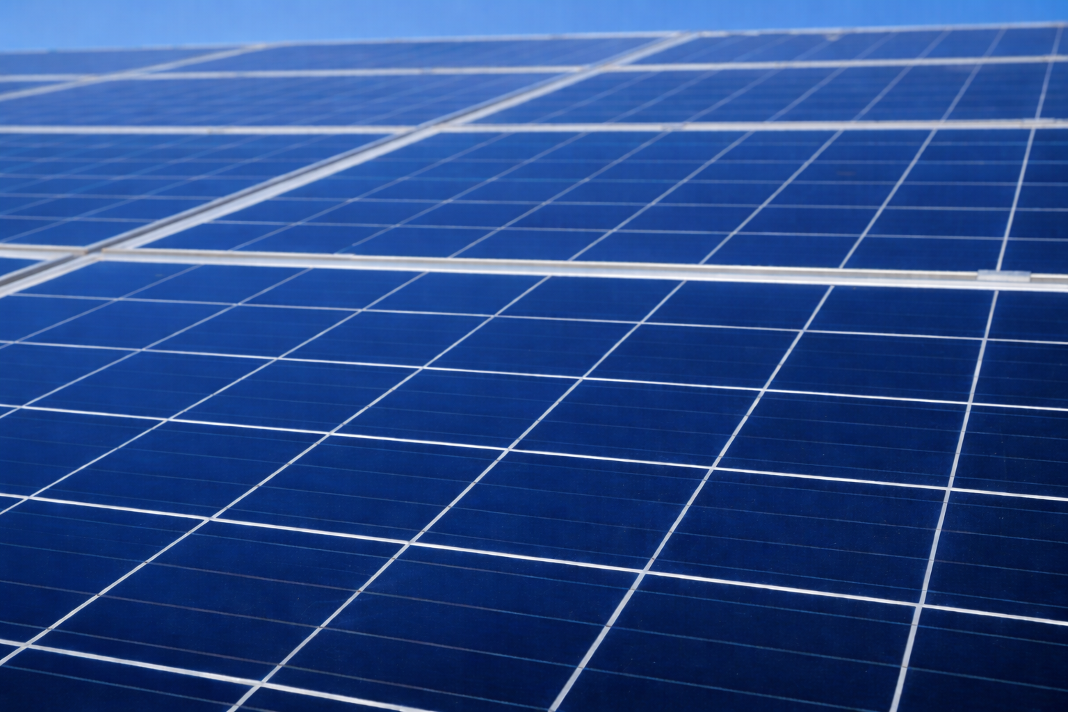 Panouri Curate